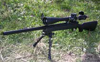 VSR-10