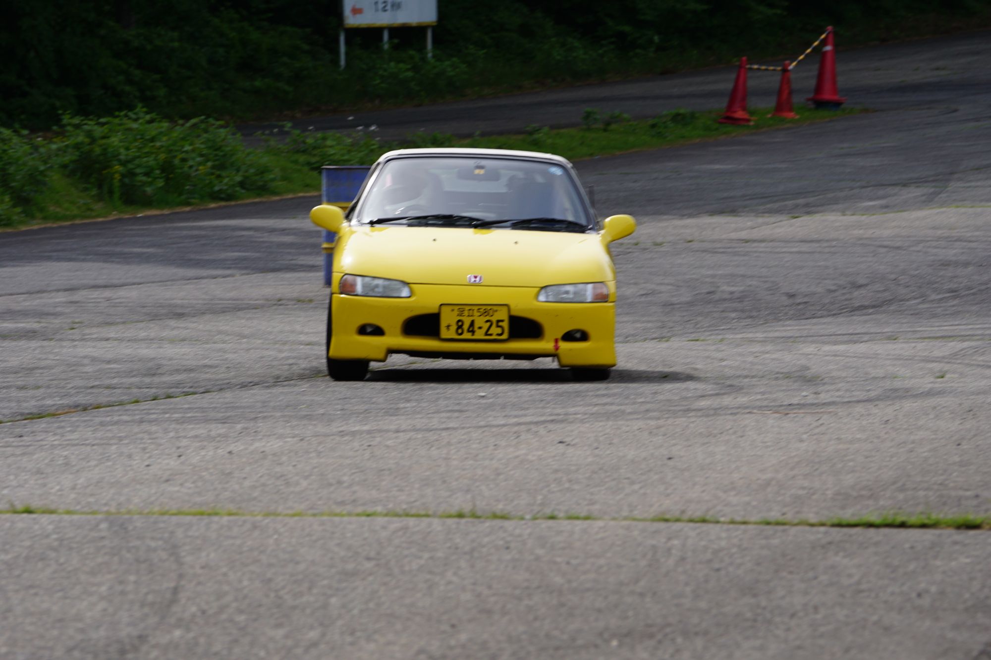 DSC06729